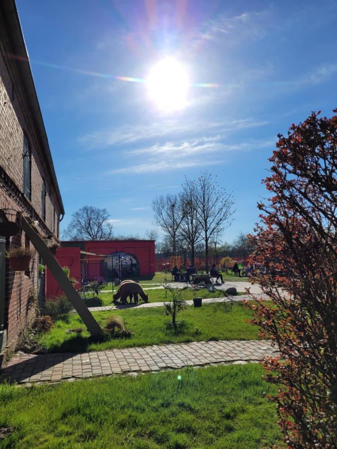 Ferienwohnung Märchenhaft urlauben auf dem Alpakahof Rambow Exterior foto